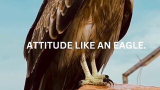 Motivation hammer