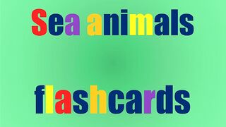 Sea animals