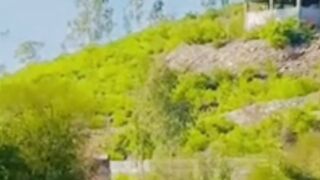 Village View