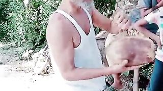 Funny vedeo