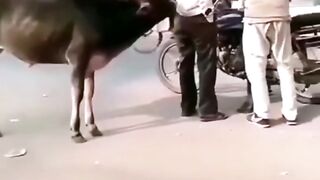 Tears of laughter