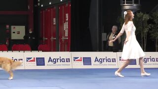 Dog Dancing World