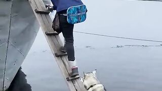 Ladder board