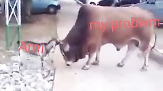 Just fun