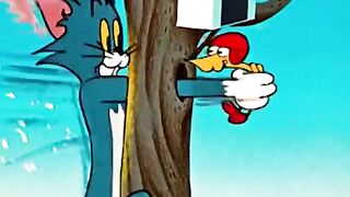 subscribe for more fun #tom #jerry #tomandjerry classic.