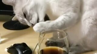 Funny8