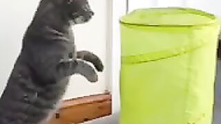 Funny 9