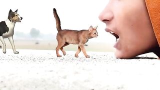 Animals in My Mouth????????  Funny vfx magic video