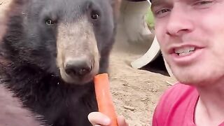 Top favorite animals! #animals #coolanimals #amazinganimals