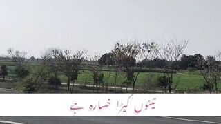Heartless Lines| Whatsapp Status Video