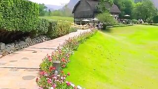 Beautiful view