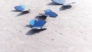 Papilionoid