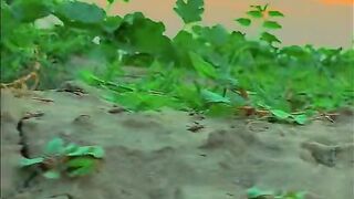 Pakistani greenery butifull ???? beautiful