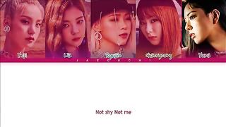 Not shy song