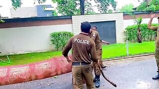 Funny police