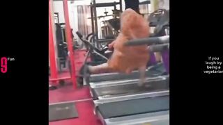 TRY NOT TO LAUGH ???? part 6