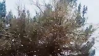 Have a snow day