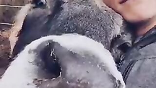 Subscribe love animals