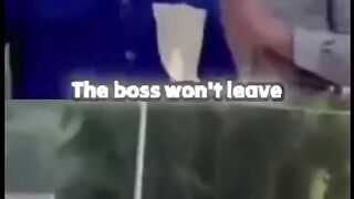 Most funny video