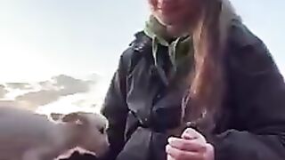 Subscribe love animals