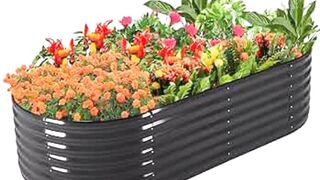 Flowers plants box