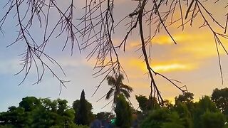 Beautiful sunset
