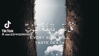 كل نفس ذائقة الموت