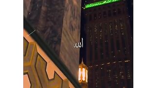 WhatsApp  Status ❤