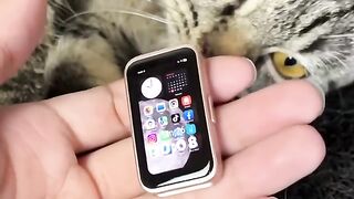 Tiny phone for cat