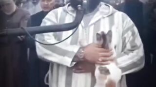 Throwback to last Ramadan when a cat jumped onto an imam leading tarwih and he handled it perfectly