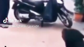 Comedy