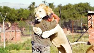 Animals Reunited With Owners After Years !