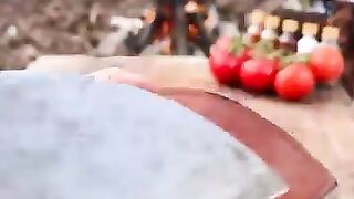 Patlican sarma Aubergine kabab