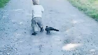 Crow_Named_Russell_Waits_For_His_Favorite_Kid_To_Get_Home_From_School___The_Dodo(360p).