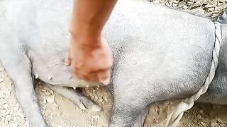 Sukot