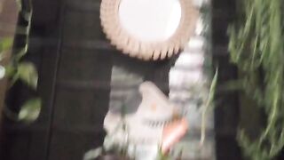 Beautiful Indoor Plants Decoration