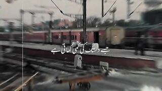 Tahzeebhafi best sad status shayari