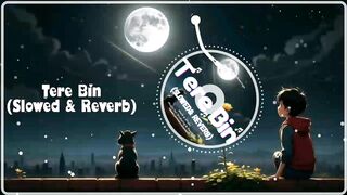 Tere Bin lo-fi Song
