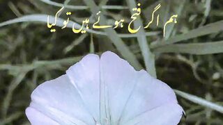 Urdu Poetry Lines | Urdu Poetry Status