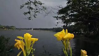 Natural weather.