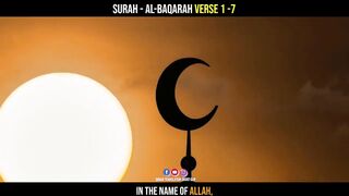 LOVE QURAN