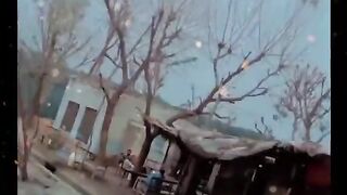 Beautiful Weather