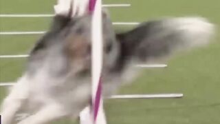 Super fast Run