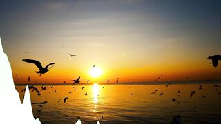 Music for you