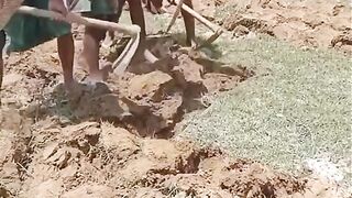 Funny Video #Funny Video