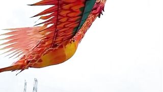 Funny Video #Funny Video
