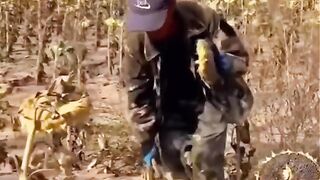 Funny Video #Funny Video