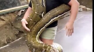 Funny Video #Funny Video