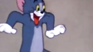 Tom and Jerry cartoon