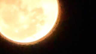 Moonlight